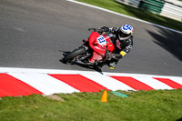 Advanced Group Red Bikes